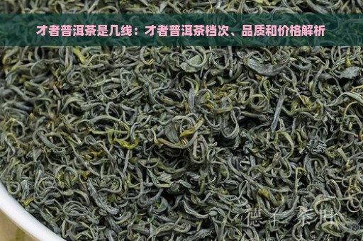 才者普洱茶是几线：才者普洱茶档次、品质和价格解析