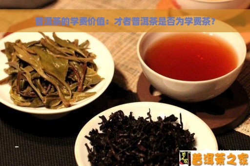 普洱茶的学费价值：才者普洱茶是否为学费茶？