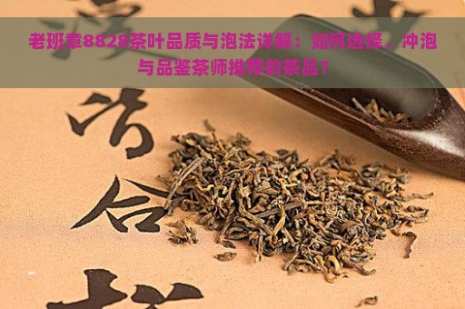 老班章8828茶叶品质与泡法详解：如何选择、冲泡与品鉴茶师推荐的茶品？