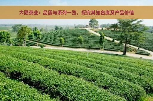 大隐茶业：品质与系列一览，探究其知名度及产品价值