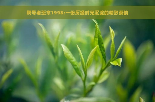 聘号老班章1998:一份历经时光沉淀的精致茶韵