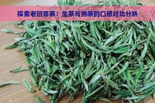 探索老班章茶：生茶与熟茶的口感对比分析