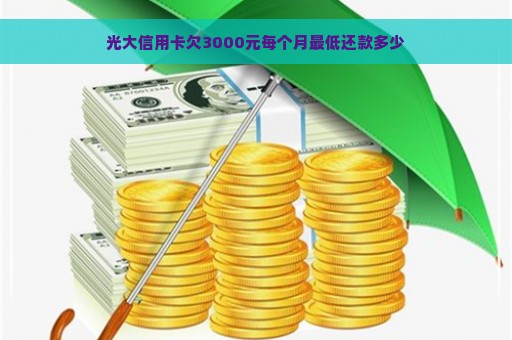 光大信用卡欠3000元每个月最低还款多少