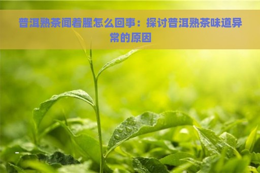 普洱熟茶闻着腥怎么回事：探讨普洱熟茶味道异常的原因