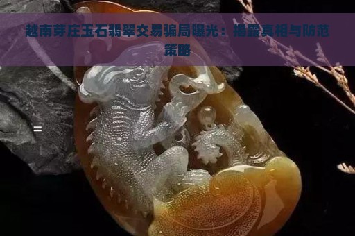 越南芽庄玉石翡翠交易骗局曝光：揭露真相与防范策略