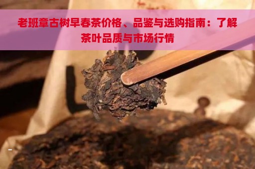 老班章古树早春茶价格、品鉴与选购指南：了解茶叶品质与市场行情