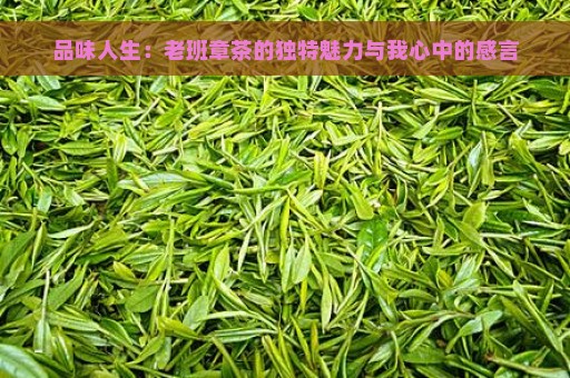 品味人生：老班章茶的独特魅力与我心中的感言