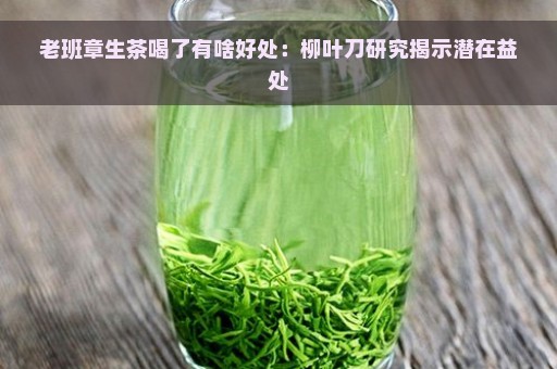 老班章生茶喝了有啥好处：柳叶刀研究揭示潜在益处