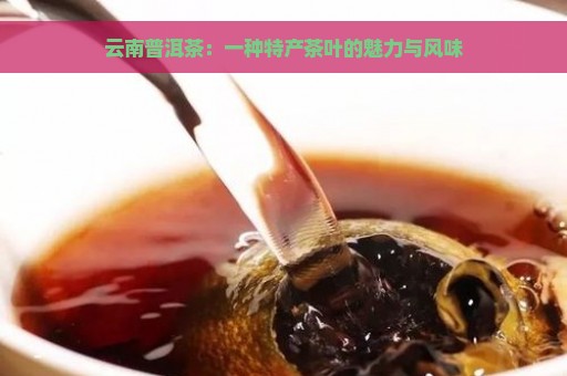 云南普洱茶：一种特产茶叶的魅力与风味