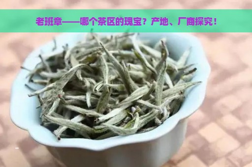 老班章——哪个茶区的瑰宝？产地、厂商探究！