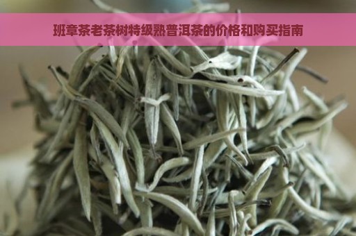 班章茶老茶树特级熟普洱茶的价格和购买指南