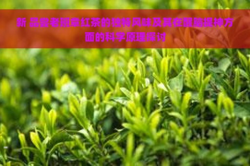 新 品尝老班章红茶的独特风味及其在醒脑提神方面的科学原理探讨