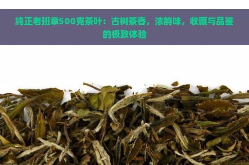 纯正老班章500克茶叶：古树茶香，浓韵味，收藏与品鉴的极致体验