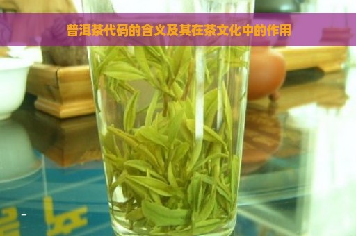 普洱茶代码的含义及其在茶文化中的作用