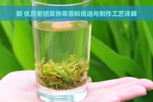 新 优质老班章熟茶原料挑选与制作工艺详解