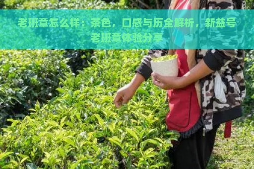 老班章怎么样：茶色，口感与历全解析，新益号老班章体验分享