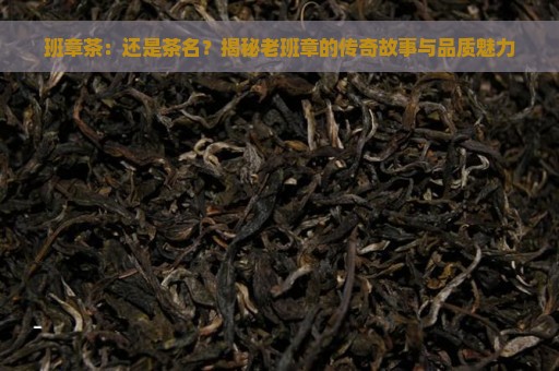 班章茶：还是茶名？揭秘老班章的传奇故事与品质魅力