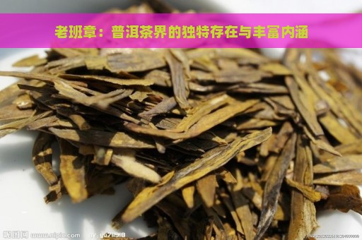 老班章：普洱茶界的独特存在与丰富内涵