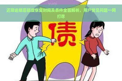 还呗逾期后额度恢复时间及条件全面解析，用户常见问题一网打尽