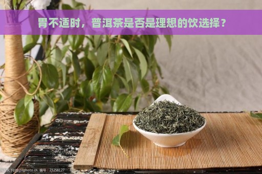 胃不适时，普洱茶是否是理想的饮选择？