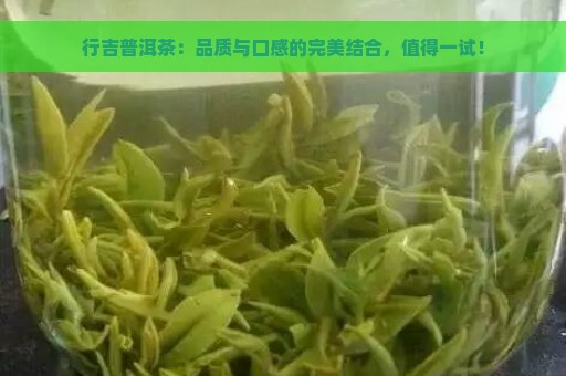 行吉普洱茶：品质与口感的完美结合，值得一试！