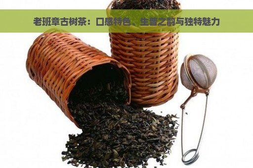 老班章古树茶：口感特色、生普之韵与独特魅力