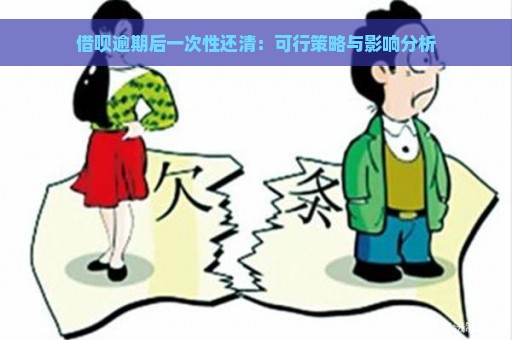 借呗逾期后一次性还清：可行策略与影响分析