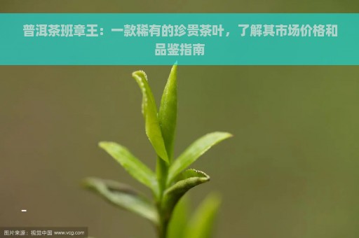 普洱茶班章王：一款稀有的珍贵茶叶，了解其市场价格和品鉴指南