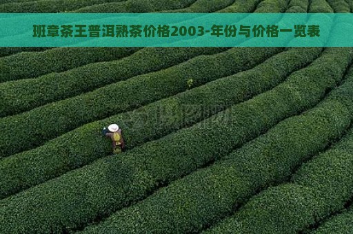 班章茶王普洱熟茶价格2003-年份与价格一览表