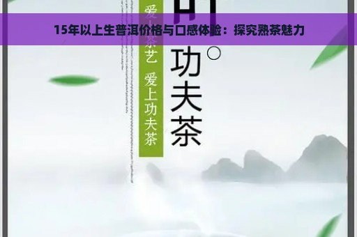 15年以上生普洱价格与口感体验：探究熟茶魅力