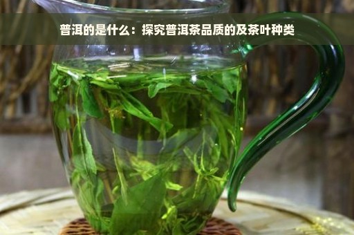 普洱的是什么：探究普洱茶品质的及茶叶种类