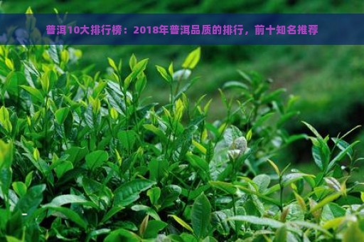 普洱10大排行榜：2018年普洱品质的排行，前十知名推荐