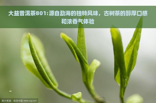 大益普洱茶801:源自勐海的独特风味，古树茶的醇厚口感和浓香气体验