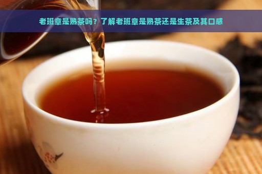 老班章是熟茶吗？了解老班章是熟茶还是生茶及其口感