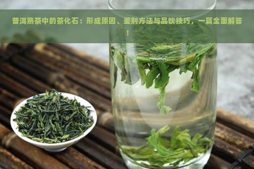 普洱熟茶中的茶化石：形成原因、鉴别方法与品饮技巧，一篇全面解答！