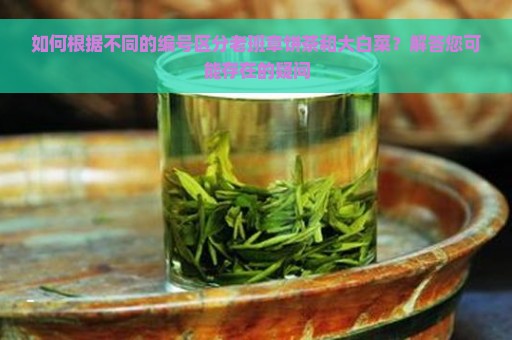 如何根据不同的编号区分老班章饼茶和大白菜？解答您可能存在的疑问