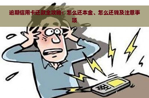 逾期信用卡还款全攻略：怎么还本金、怎么还钱及注意事项