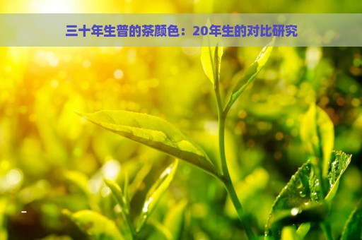 三十年生普的茶颜色：20年生的对比研究