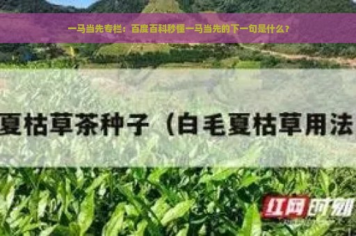 一马当先专栏：百度百科秒懂一马当先的下一句是什么？