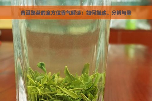 普洱熟茶的全方位香气解读：如何描述、分辨与鉴