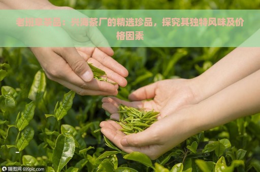 老班章茶品：兴海茶厂的精选珍品，探究其独特风味及价格因素