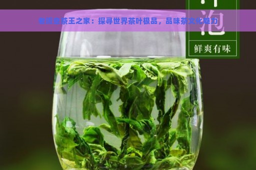 老班章茶王之家：探寻世界茶叶极品，品味茶文化魅力