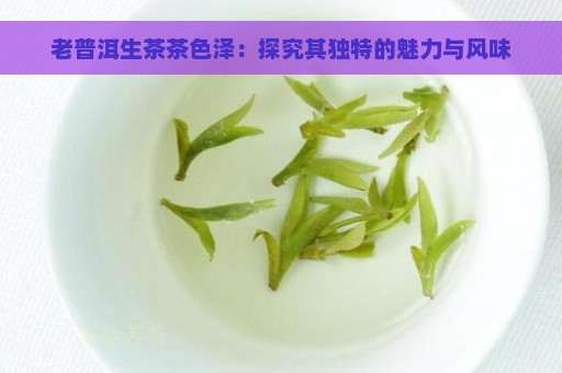 老普洱生茶茶色泽：探究其独特的魅力与风味