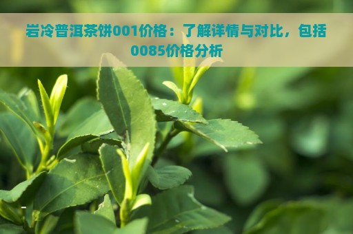 岩冷普洱茶饼001价格：了解详情与对比，包括0085价格分析