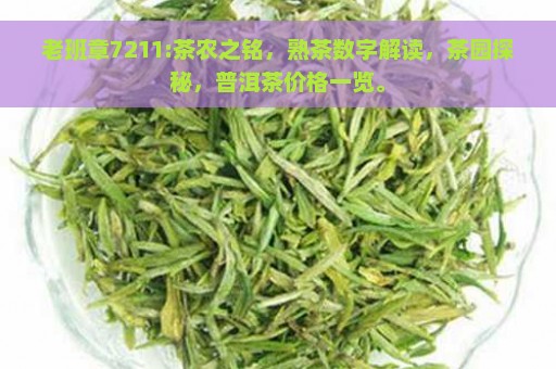 老班章7211:茶农之铭，熟茶数字解读，茶园探秘，普洱茶价格一览。