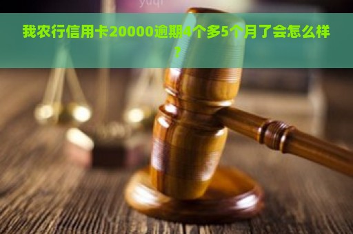 我农行信用卡20000逾期4个多5个月了会怎么样？