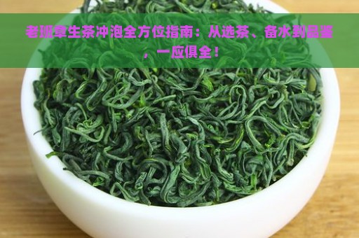 老班章生茶冲泡全方位指南：从选茶、备水到品鉴，一应俱全！