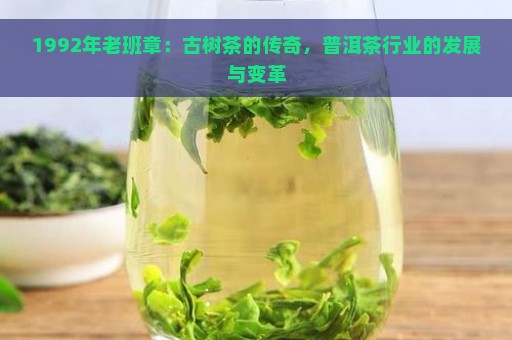 1992年老班章：古树茶的传奇，普洱茶行业的发展与变革