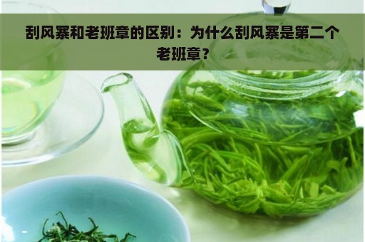 刮风寨和老班章的区别：为什么刮风寨是第二个老班章？