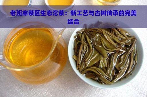 老班章茶区生态沱茶：新工艺与古树传承的完美结合